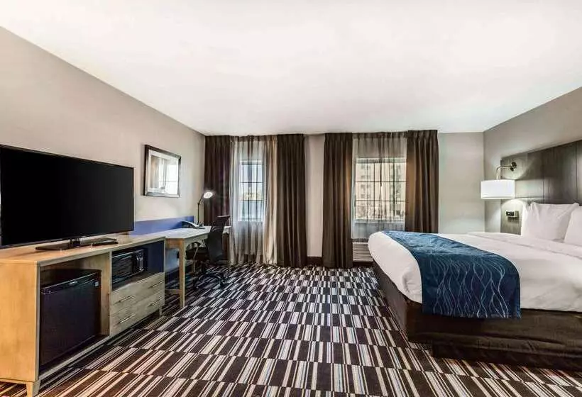 酒店 Comfort Inn Airport