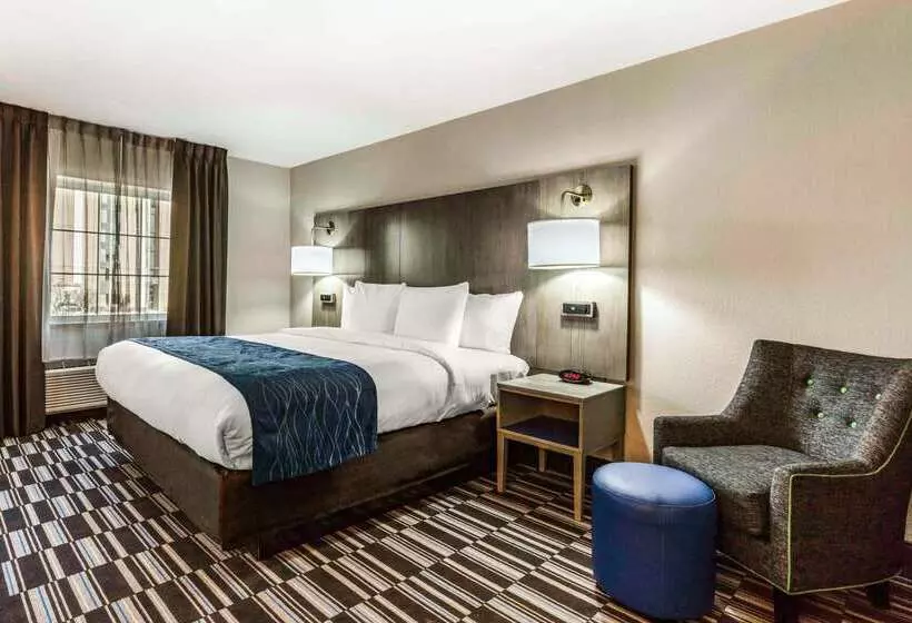 酒店 Comfort Inn Airport