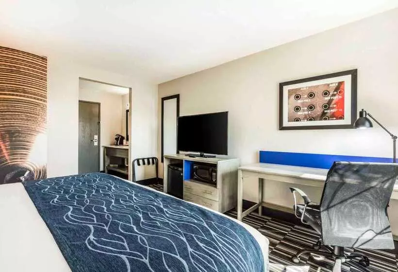 酒店 Comfort Inn Airport