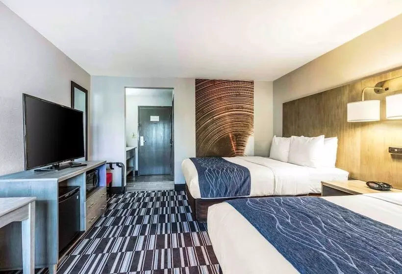 酒店 Comfort Inn Airport