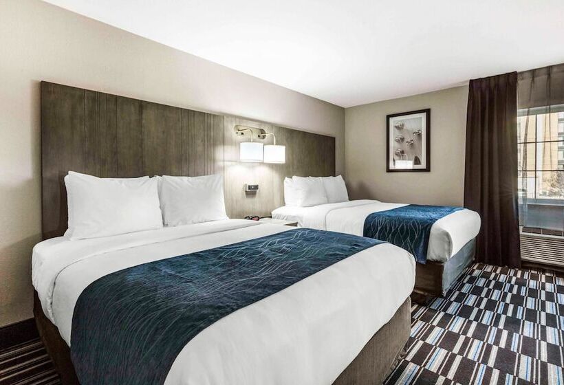 فندق Comfort Inn Airport