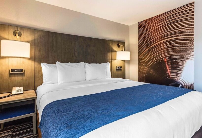 فندق Comfort Inn Airport