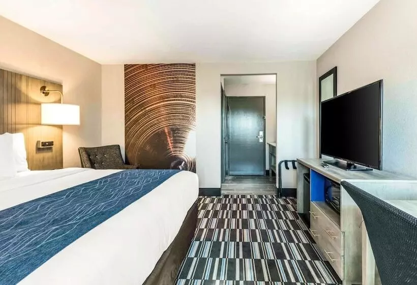 酒店 Comfort Inn Airport