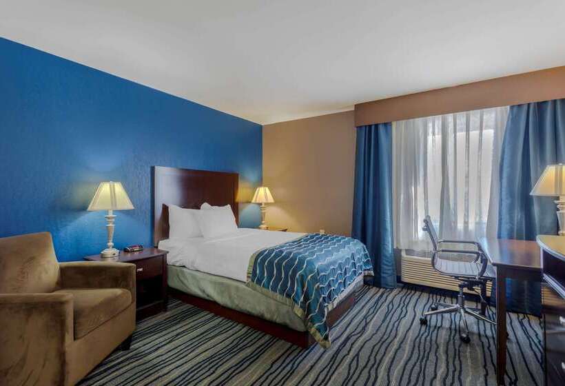 호텔 Comfort Inn & Suites