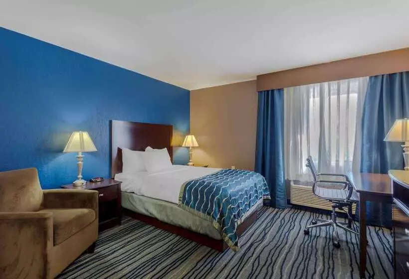 호텔 Comfort Inn & Suites