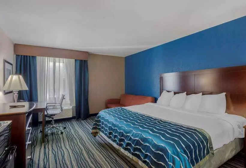 호텔 Comfort Inn & Suites