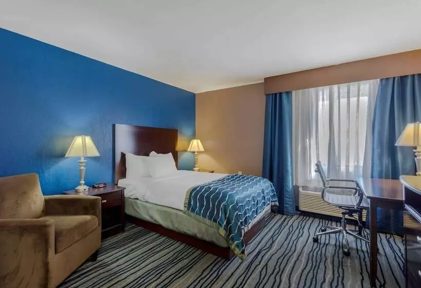 호텔 Comfort Inn & Suites