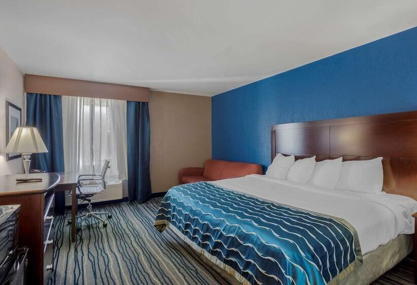 호텔 Comfort Inn & Suites