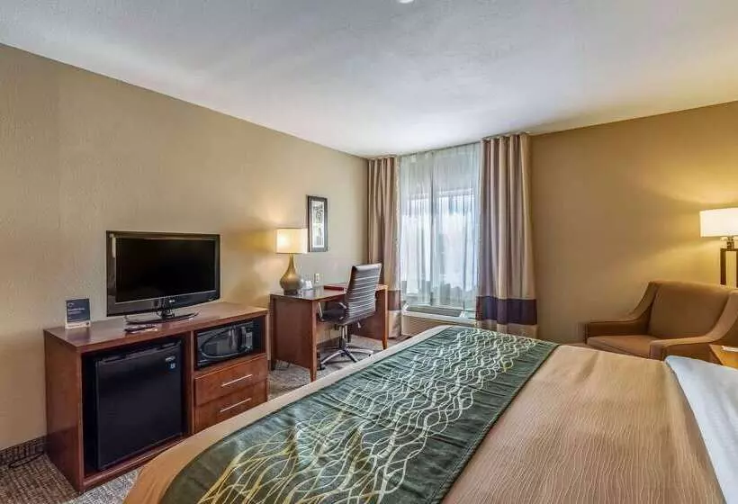호텔 Comfort Inn