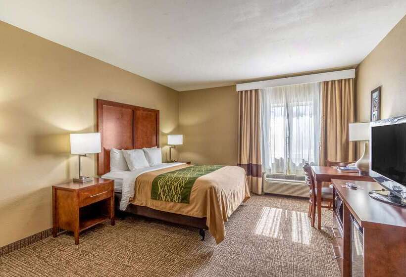 فندق Comfort Inn