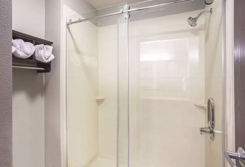 酒店 La Quinta By Wyndham O Fallon, Il St. Louis