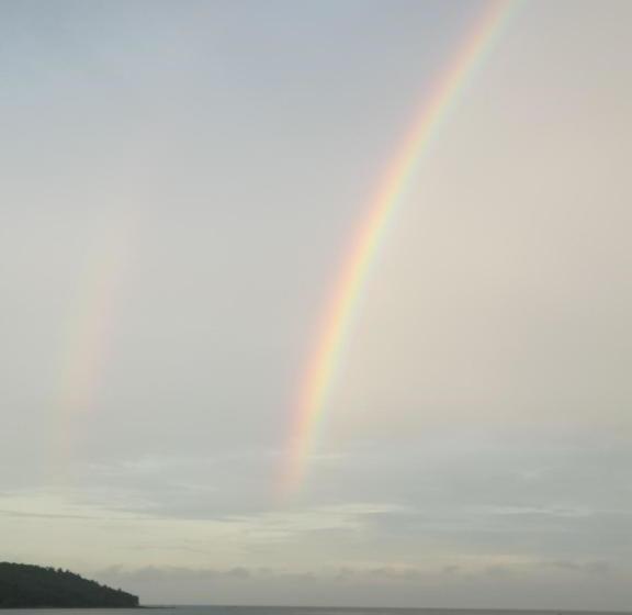 تختخواب و صبحانه Salt Life