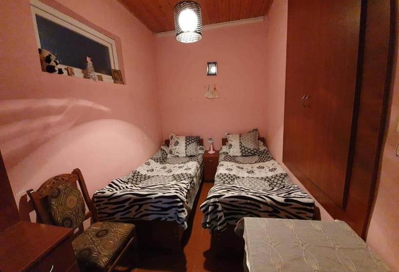 پانسیون Guesthouse Kurdiani In Mestia