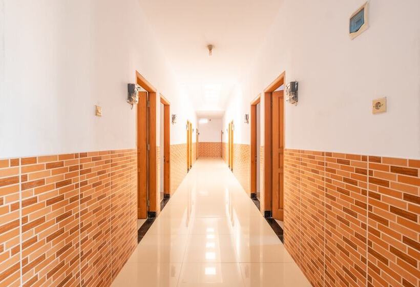 Hotel Tenacity Guest House