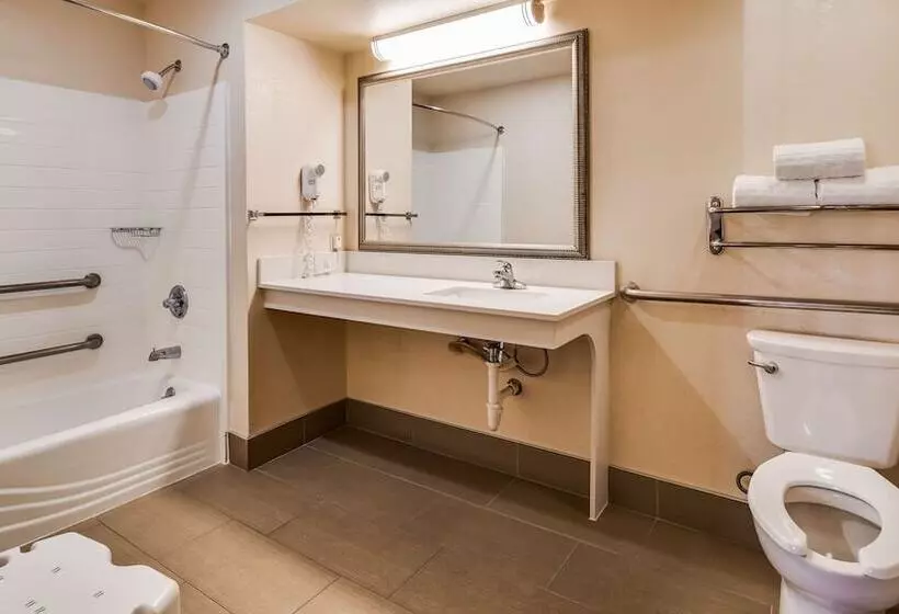 酒店 Best Western Inn & Suites Of Macon