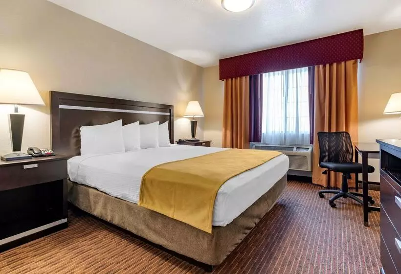 酒店 Best Western Luxury Inn