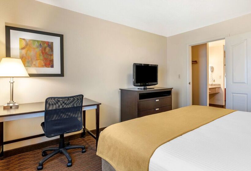 ホテル Best Western Luxury Inn