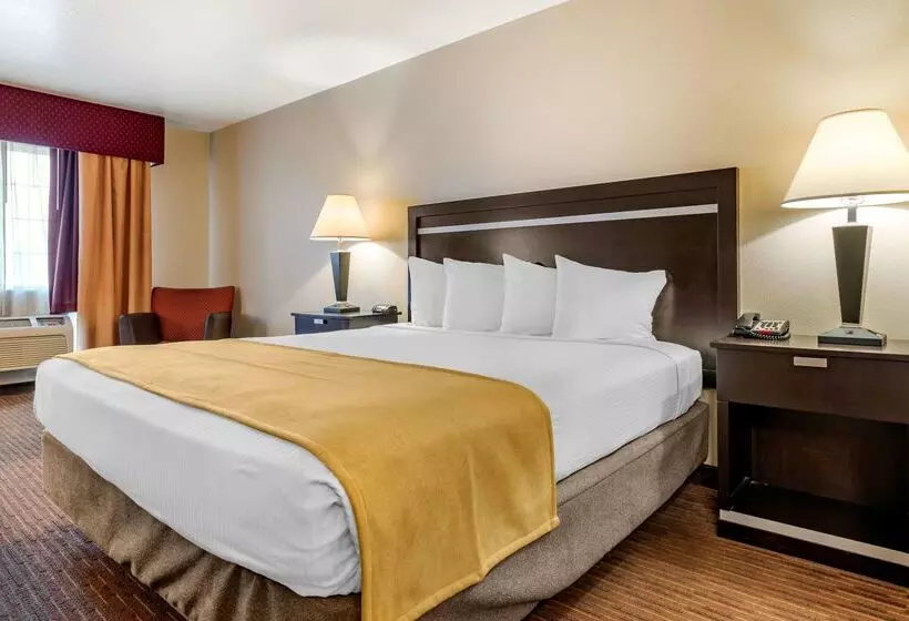 酒店 Best Western Luxury Inn