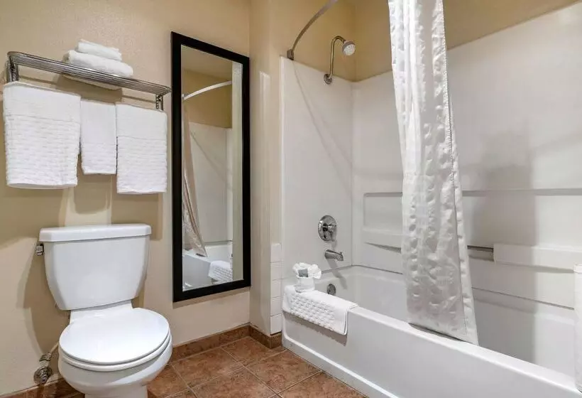 酒店 Best Western Luxury Inn