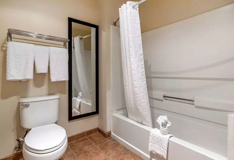 酒店 Best Western Luxury Inn