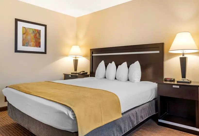 酒店 Best Western Luxury Inn