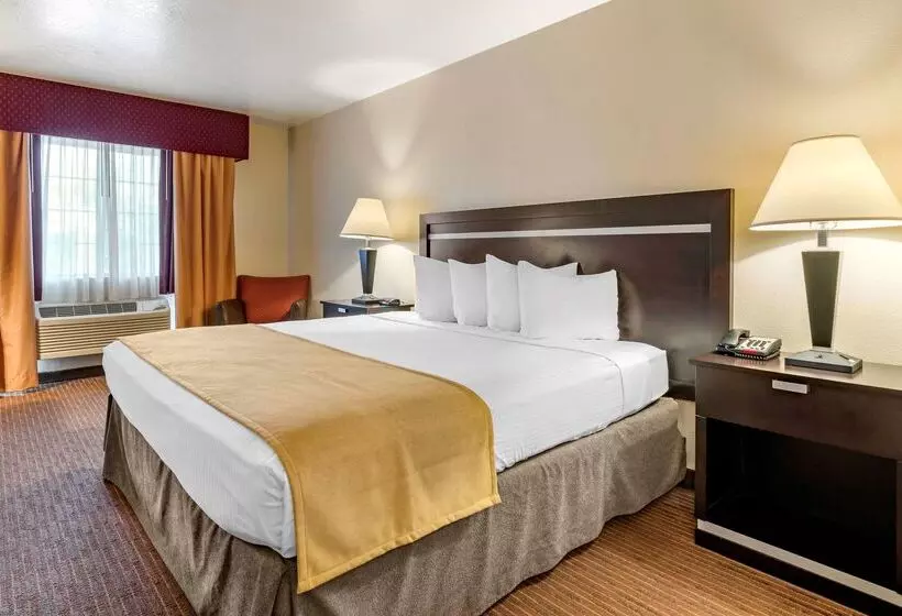 酒店 Best Western Luxury Inn