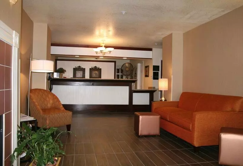 酒店 Best Western Luxury Inn