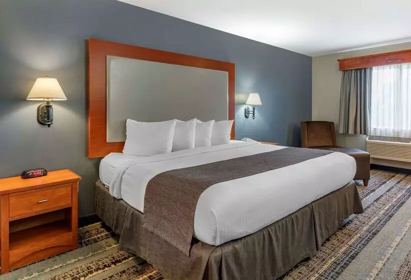 Отель Best Western Newberg Inn