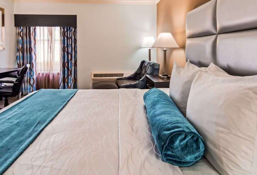 בית מלון כפרי Best Western Webster/nasa