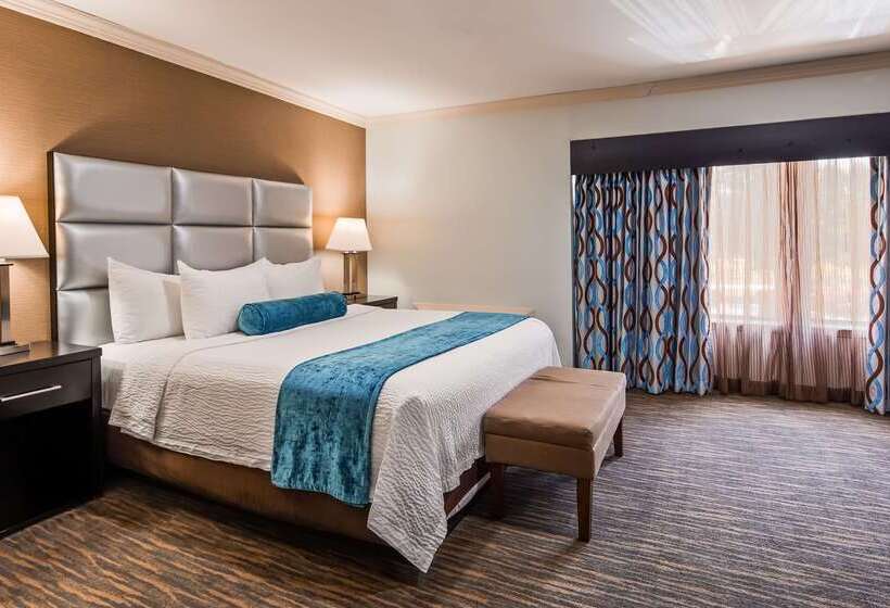 בית מלון כפרי Best Western Webster/nasa