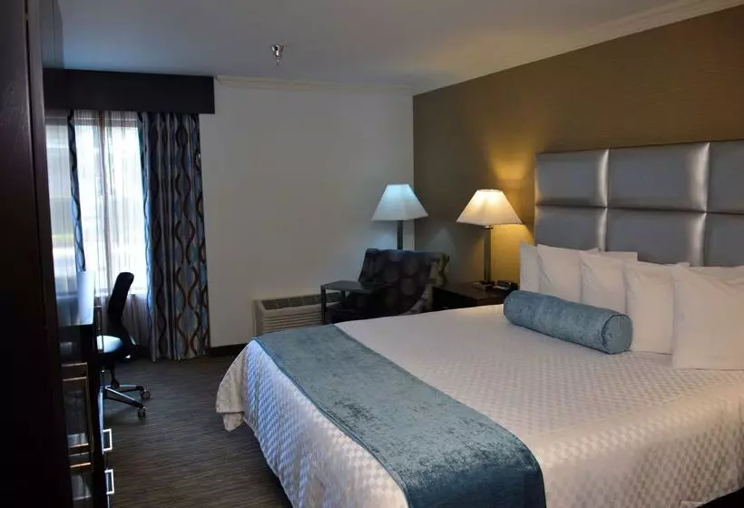 Hotel Best Western Webster/nasa