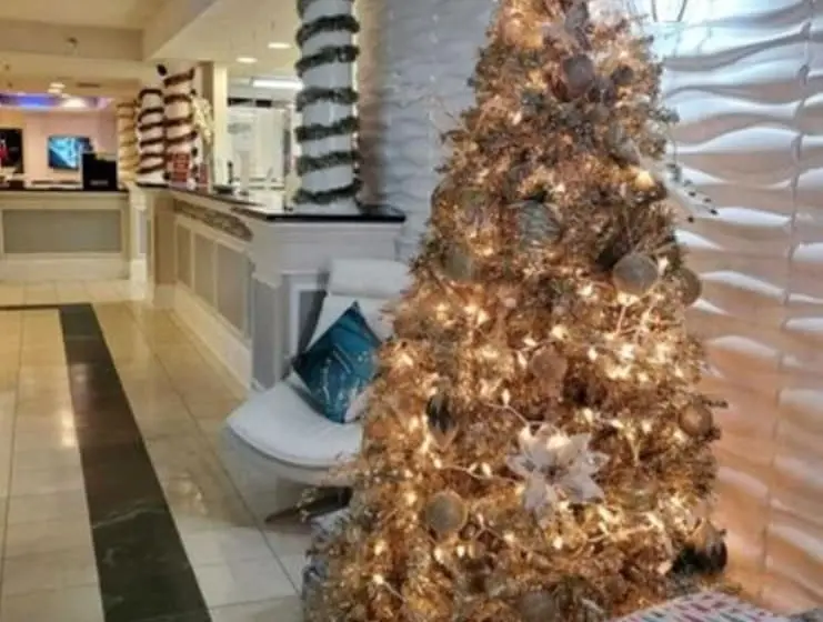 ホテル Comfort Suites Plano East Richardson