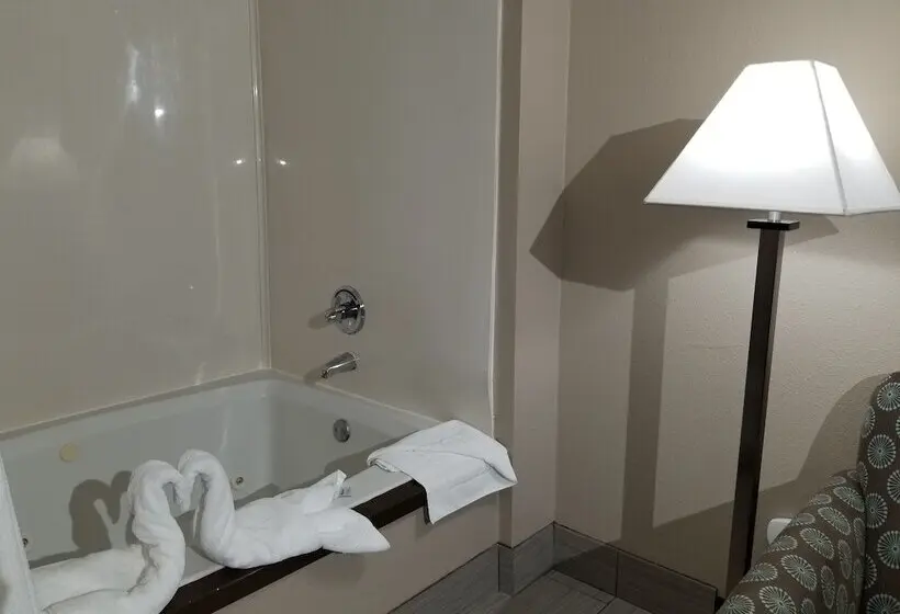 ホテル Comfort Suites Plano East Richardson