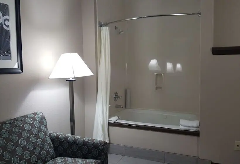 ホテル Comfort Suites Plano East Richardson