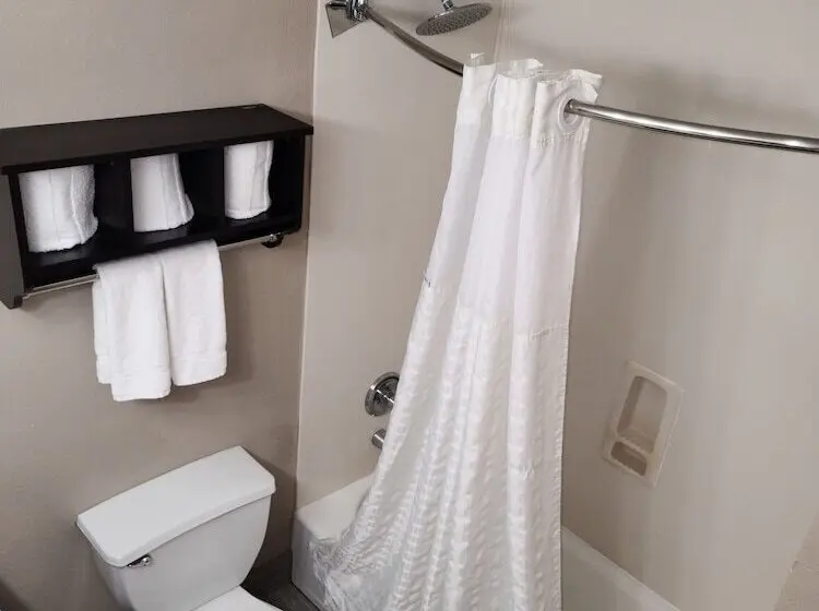 ホテル Comfort Suites Plano East Richardson