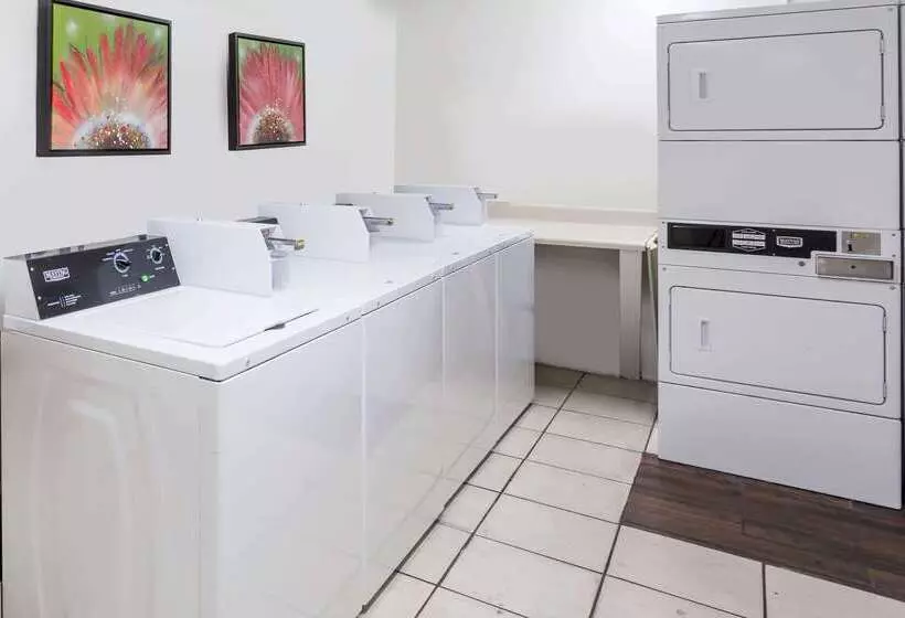 ホテル Days Inn By Wyndham St. Petersburg / Tampa Bay Area