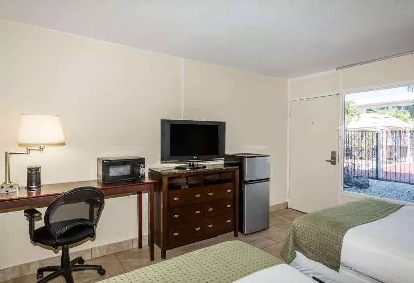 ホテル Days Inn By Wyndham St. Petersburg / Tampa Bay Area