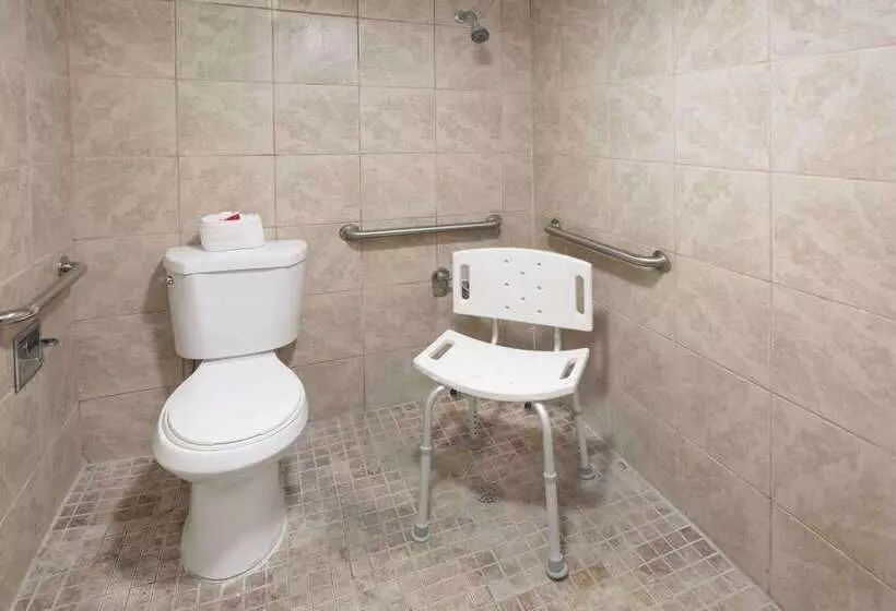 ホテル Days Inn By Wyndham St. Petersburg / Tampa Bay Area