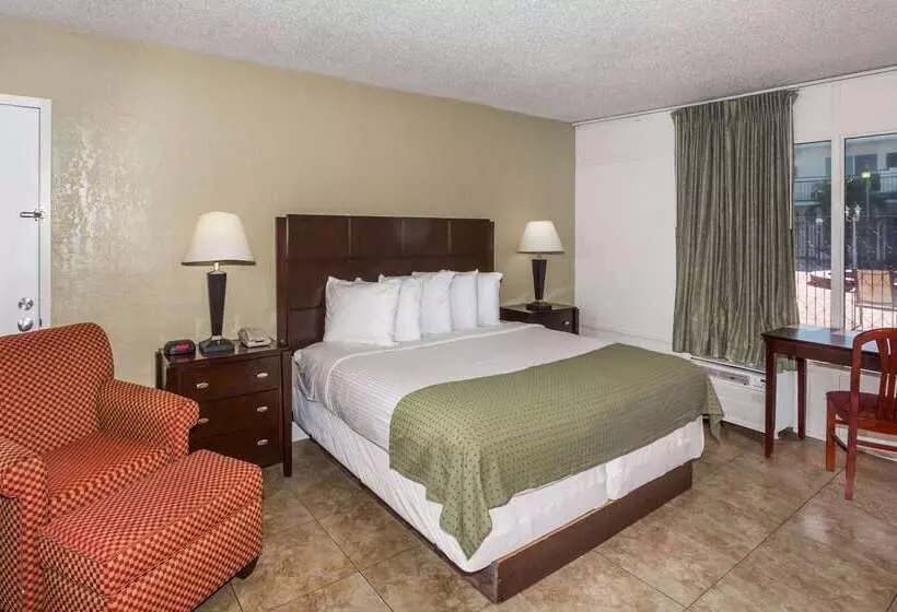 ホテル Days Inn By Wyndham St. Petersburg / Tampa Bay Area