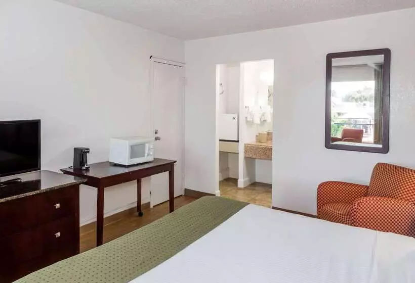 ホテル Days Inn By Wyndham St. Petersburg / Tampa Bay Area