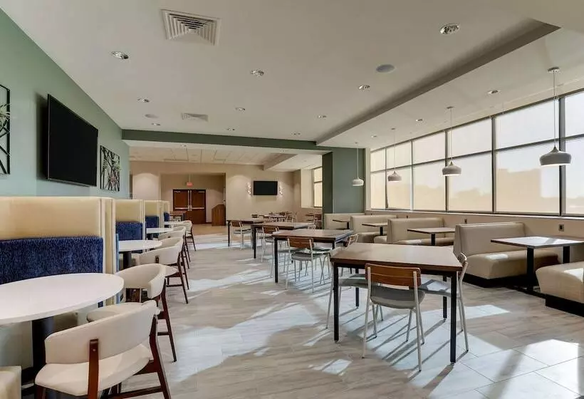 Drury Plaza Hotel Orlando   Disney Springs Area