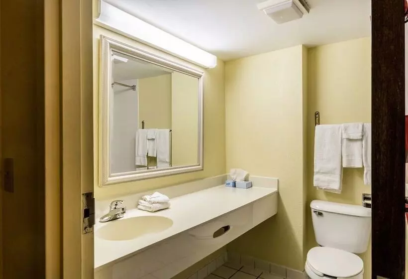 Отель Red Roof Inn Morehead