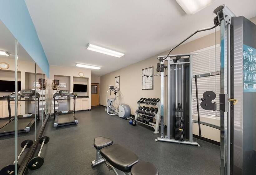 Surestay Plus Hotel By Best Western Plano