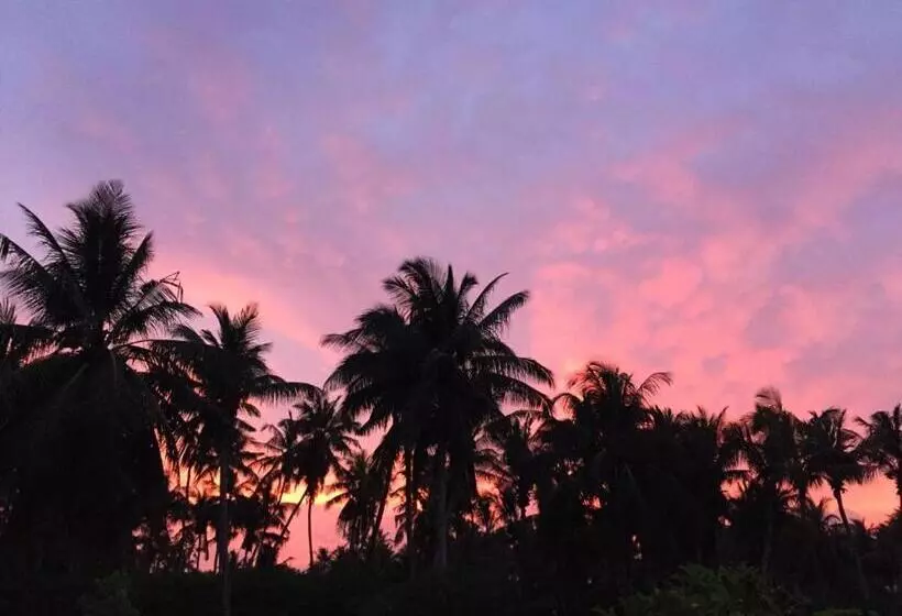 پانسیون Alesara Guest House