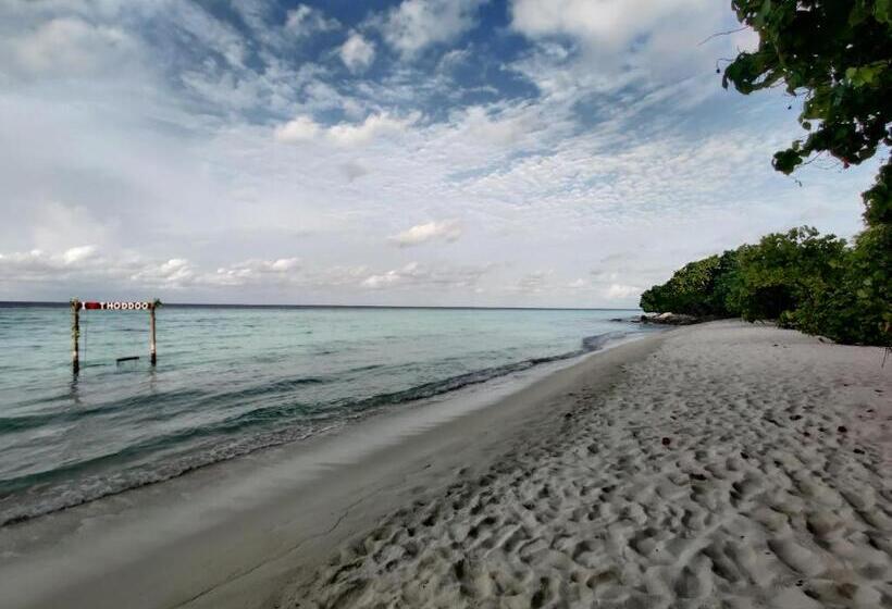 پانسیون Alesara Guest House