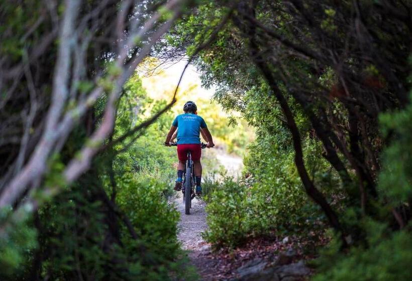 膳宿费 Bedbike Baunei