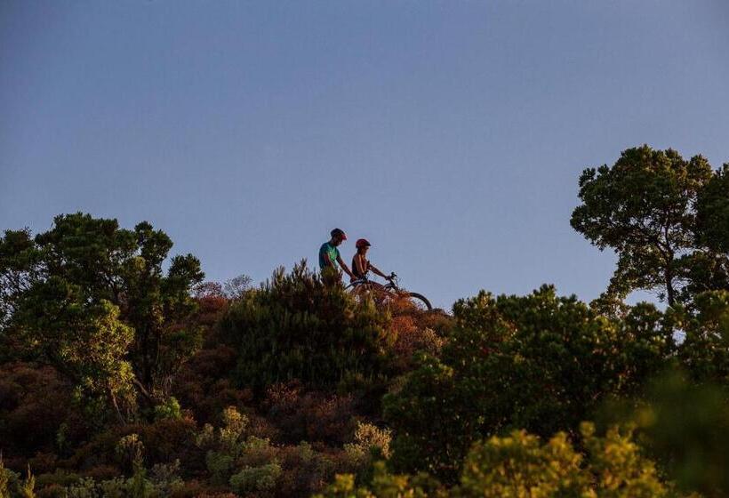 膳宿费 Bedbike Baunei
