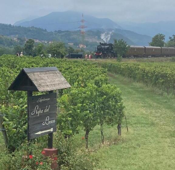 酒店 Agriturismo Ripa Del Bosco