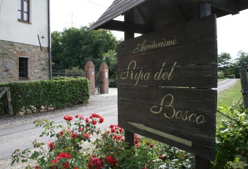 酒店 Agriturismo Ripa Del Bosco