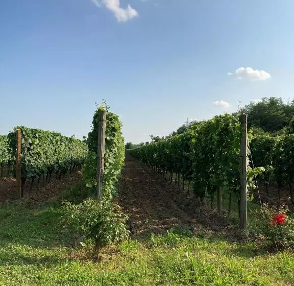 Hotelli Agriturismo Ripa Del Bosco